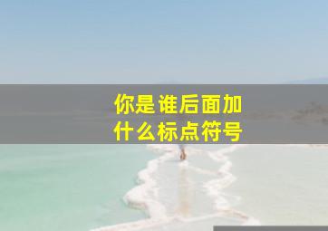 你是谁后面加什么标点符号