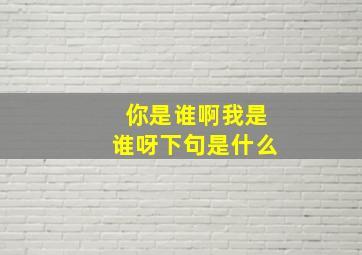 你是谁啊我是谁呀下句是什么