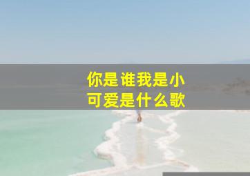 你是谁我是小可爱是什么歌