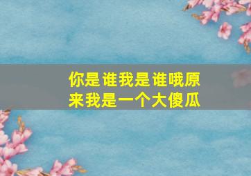 你是谁我是谁哦原来我是一个大傻瓜