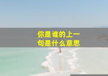 你是谁的上一句是什么意思