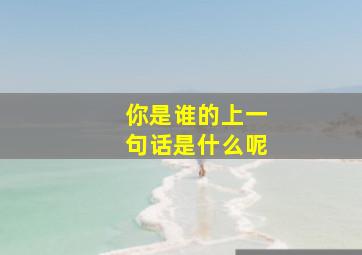 你是谁的上一句话是什么呢