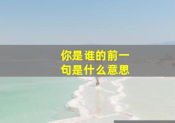 你是谁的前一句是什么意思