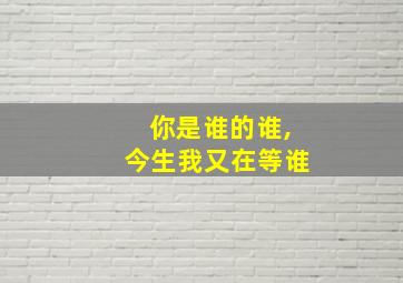 你是谁的谁,今生我又在等谁