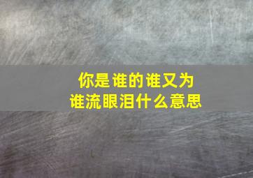 你是谁的谁又为谁流眼泪什么意思