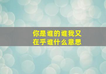 你是谁的谁我又在乎谁什么意思