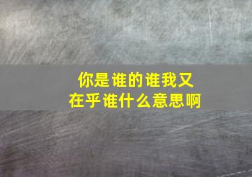 你是谁的谁我又在乎谁什么意思啊