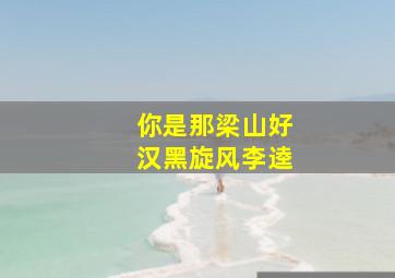 你是那梁山好汉黑旋风李逵