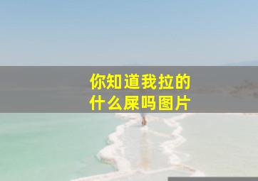 你知道我拉的什么屎吗图片