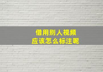 借用别人视频应该怎么标注呢