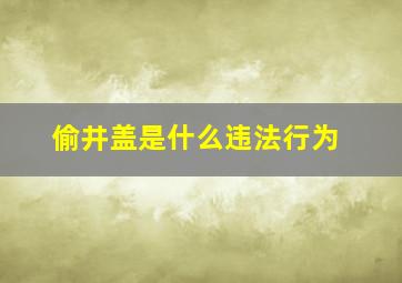 偷井盖是什么违法行为