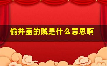 偷井盖的贼是什么意思啊