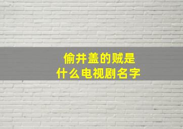 偷井盖的贼是什么电视剧名字