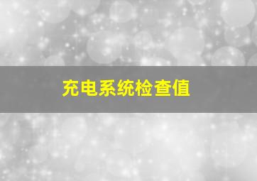 充电系统检查值