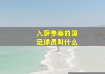 入籍参赛的国足球员叫什么