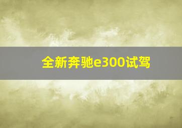 全新奔驰e300试驾