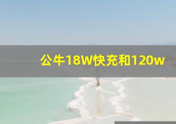 公牛18W快充和120w