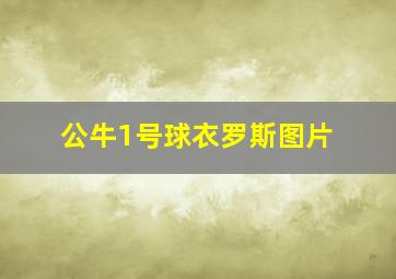 公牛1号球衣罗斯图片