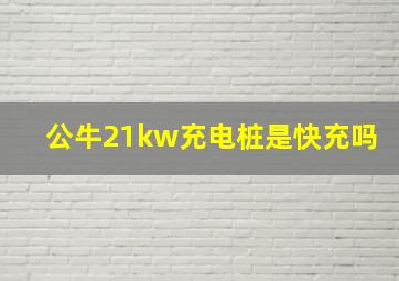 公牛21kw充电桩是快充吗