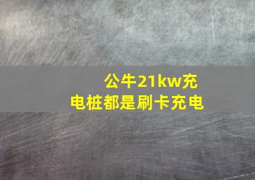 公牛21kw充电桩都是刷卡充电