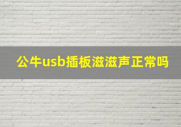 公牛usb插板滋滋声正常吗