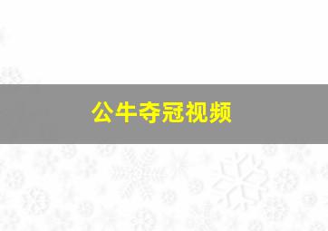 公牛夺冠视频