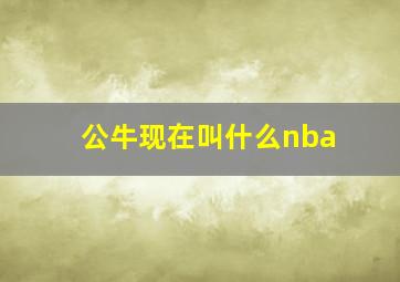 公牛现在叫什么nba