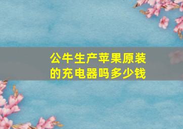 公牛生产苹果原装的充电器吗多少钱