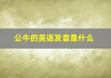 公牛的英语发音是什么