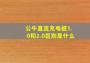 公牛直流充电桩1.0和2.0区别是什么