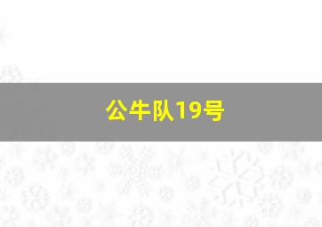 公牛队19号