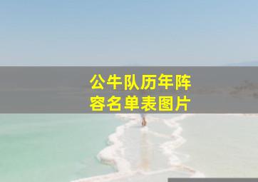 公牛队历年阵容名单表图片