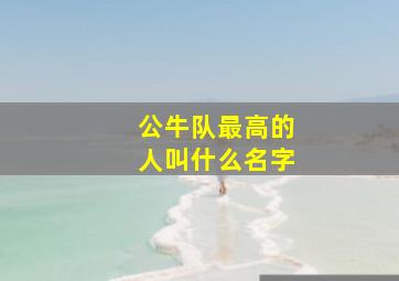 公牛队最高的人叫什么名字