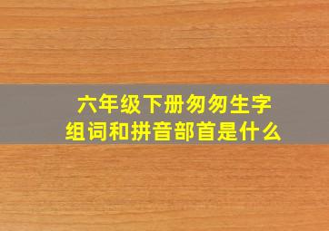 六年级下册匆匆生字组词和拼音部首是什么