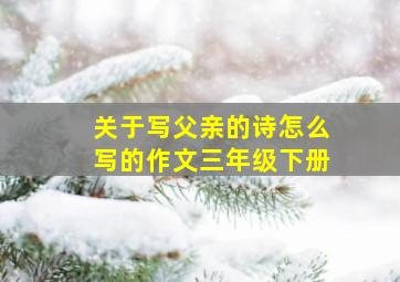 关于写父亲的诗怎么写的作文三年级下册