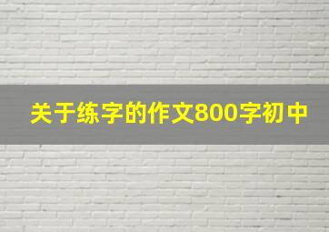 关于练字的作文800字初中