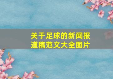 关于足球的新闻报道稿范文大全图片