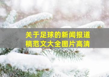 关于足球的新闻报道稿范文大全图片高清