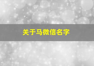 关于马微信名字