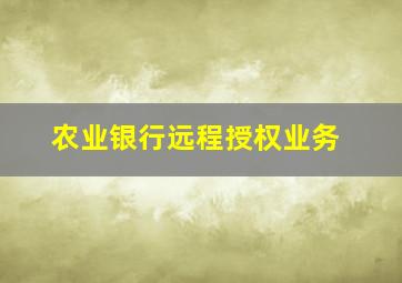 农业银行远程授权业务