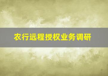 农行远程授权业务调研