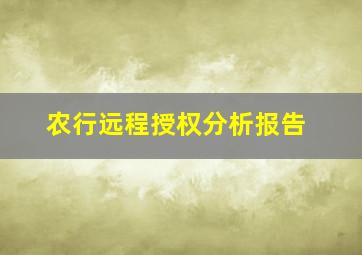 农行远程授权分析报告