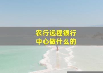 农行远程银行中心做什么的