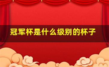 冠军杯是什么级别的杯子