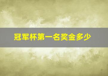 冠军杯第一名奖金多少