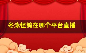 冬泳怪鸽在哪个平台直播