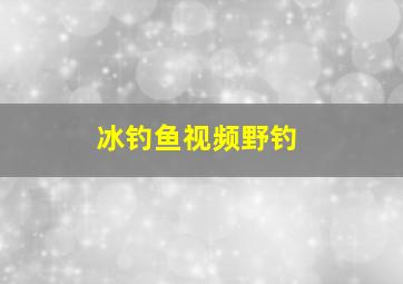 冰钓鱼视频野钓