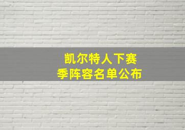 凯尔特人下赛季阵容名单公布