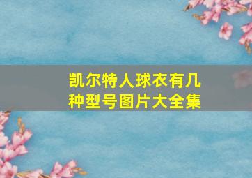 凯尔特人球衣有几种型号图片大全集