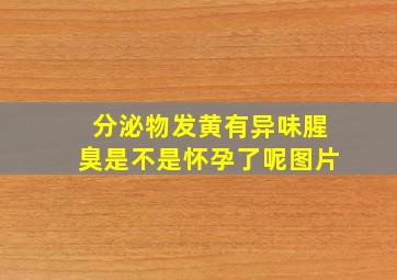 分泌物发黄有异味腥臭是不是怀孕了呢图片